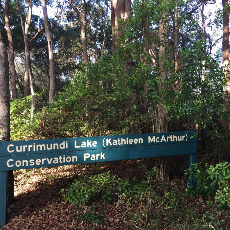 Currumundi Lake: Loop The Lake Walk